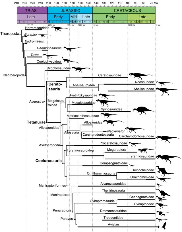 Figure from An overview of non-avian theropod discoveries and classification