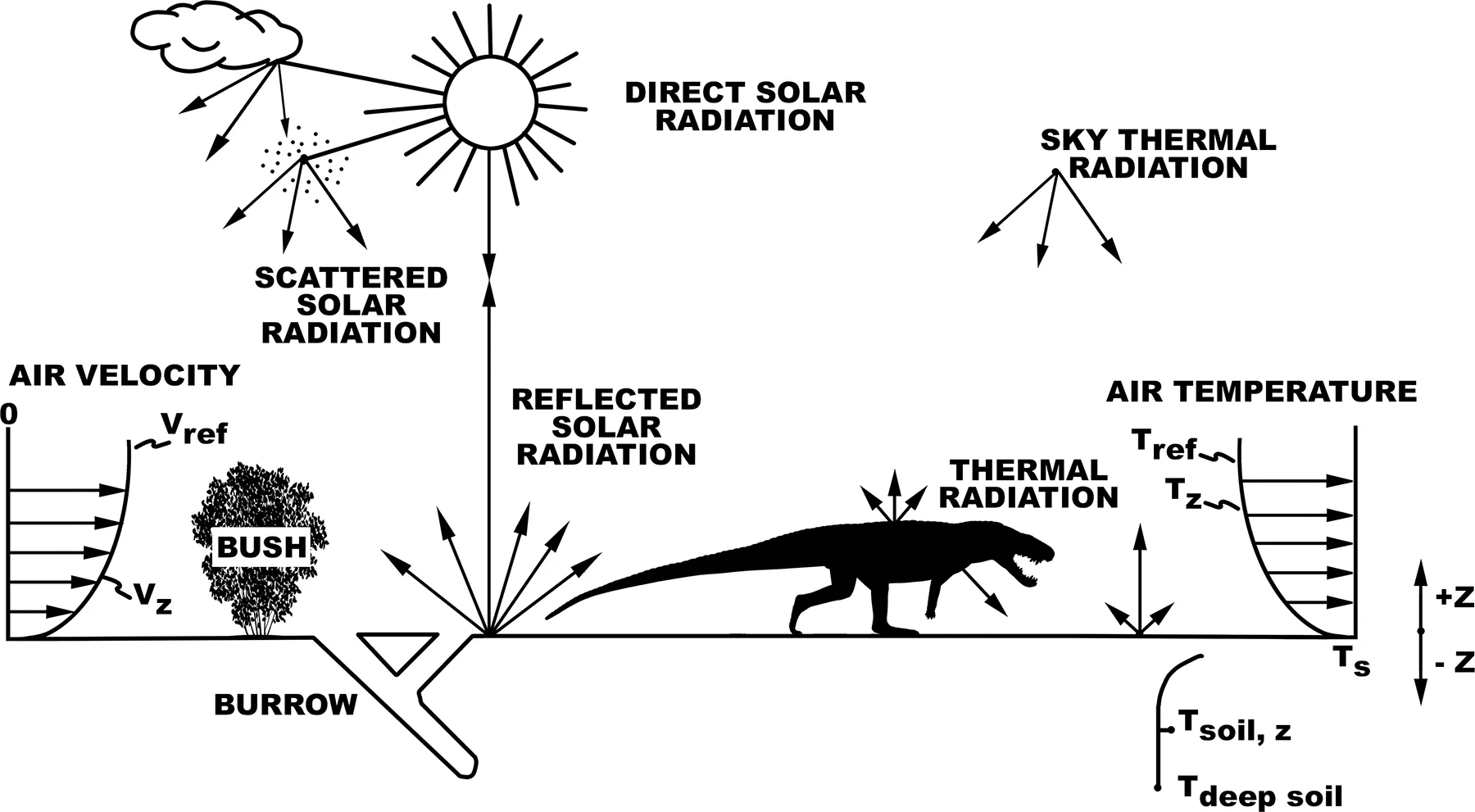 Schematic of a Niche Mapper simulation: solar and thermal radiation, wind and temperature profiles, and burrow and shade microhabitats around a model animal
