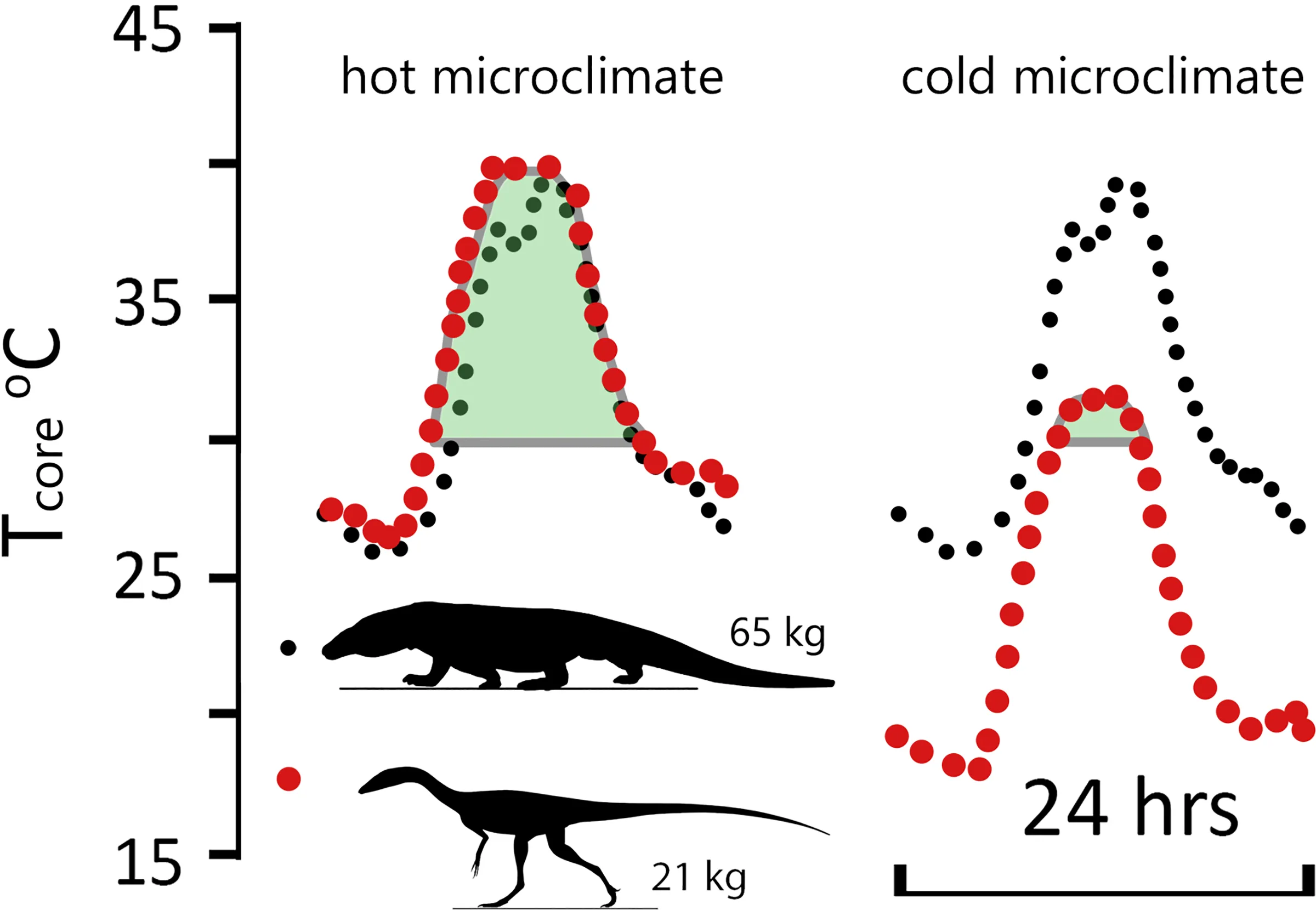 Daily body-temperature curves for Varanus and Coelophysis in hot and cold microclimates