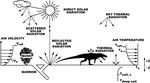 Investigating the physiologies of extinct vertebrates