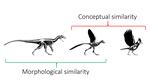 Operationalizing a Late Origin of Avian Flight